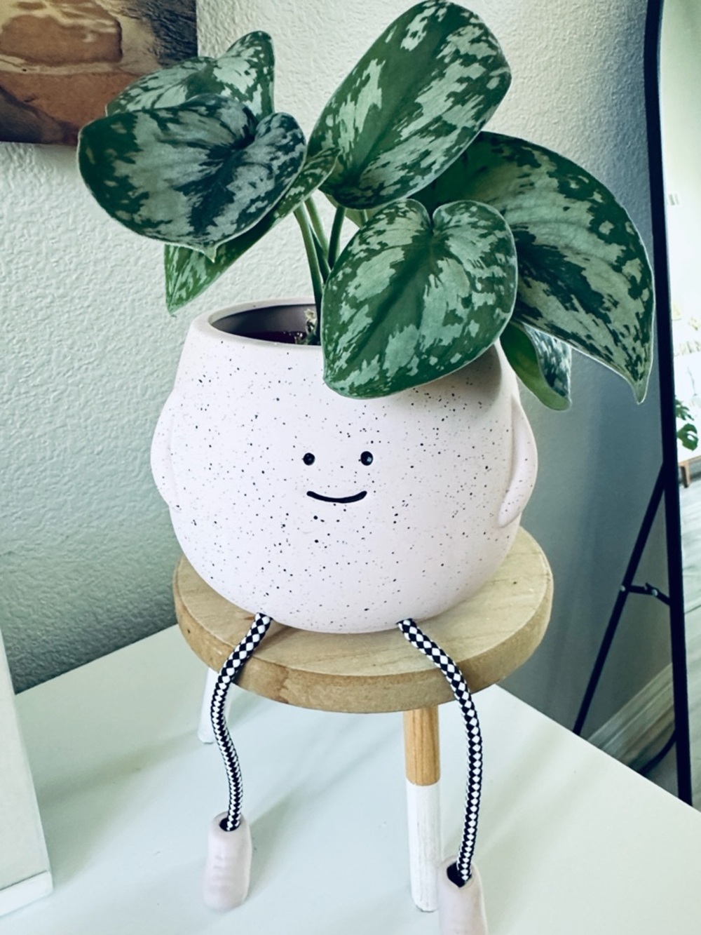 Meet your Posher, Abby!